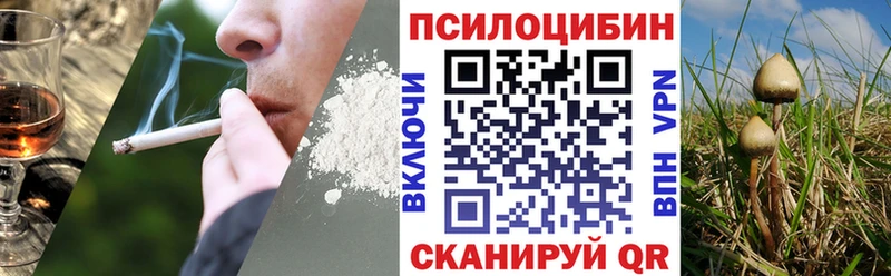 Галлюциногенные грибы ЛСД  Рошаль 