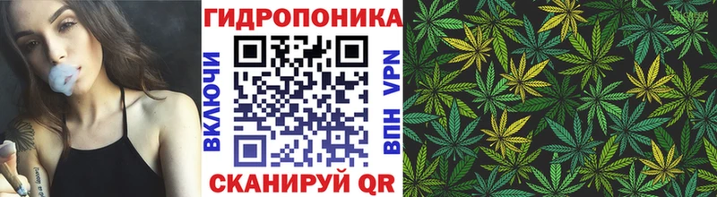 Бошки Шишки Bruce Banner как найти закладки Рошаль